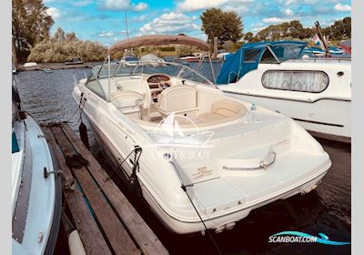 Sea Ray 260 Overnight Motorboat 2000, with Mercury Marine engine, The Netherlands