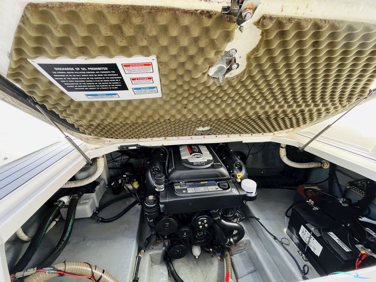Sea Ray 260 Sundancer