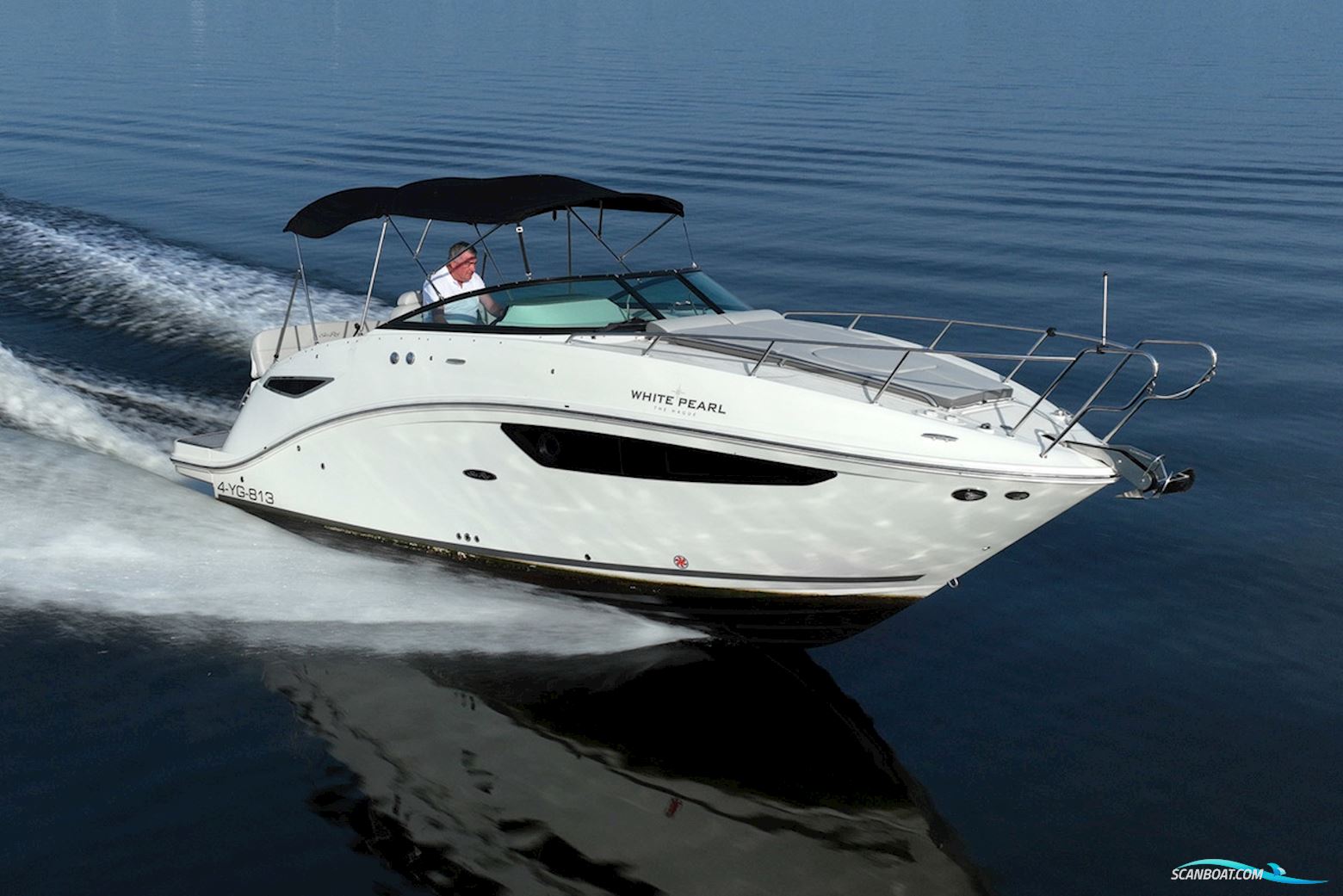 Sea Ray 265