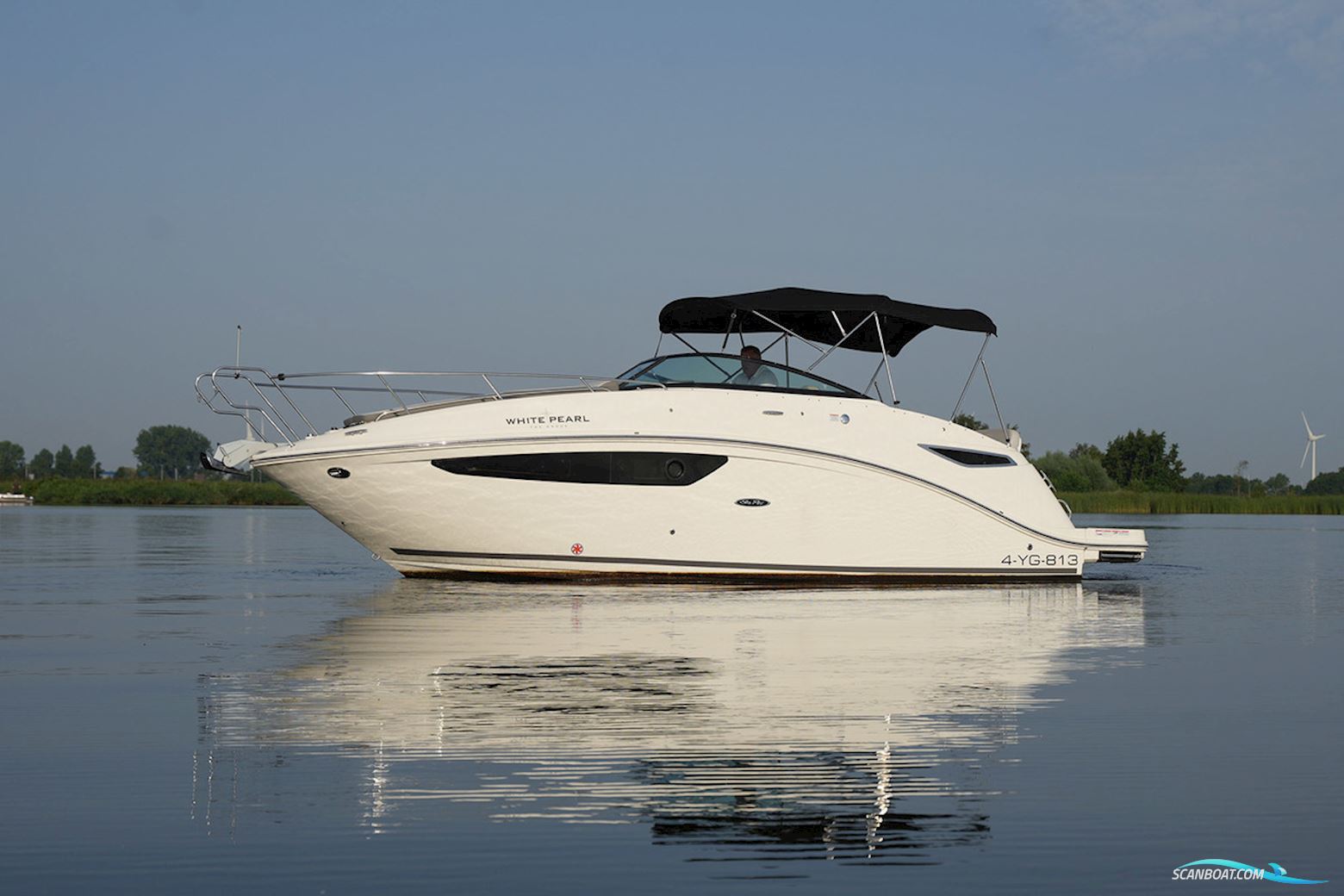 Sea Ray 265