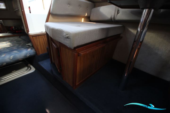 Sea Ray 268 Sundancer