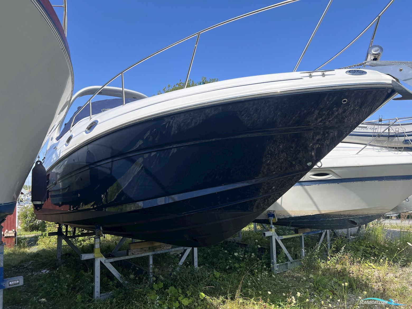 Sea Ray 315 Sundancer