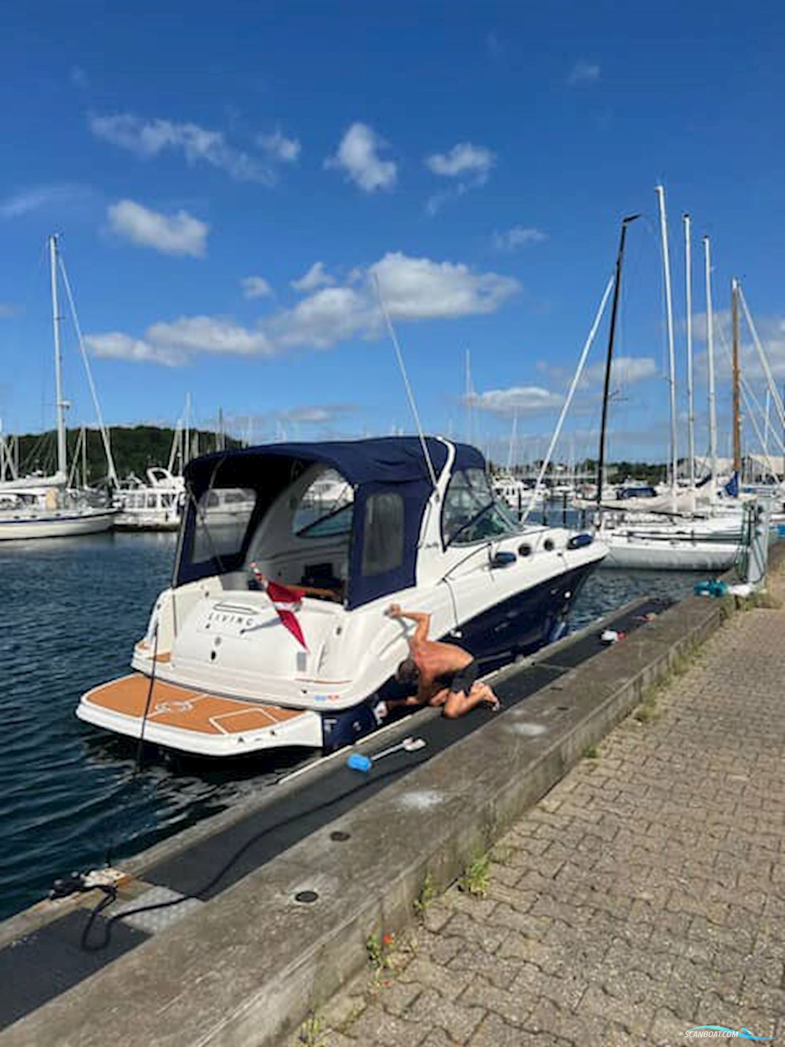 Sea Ray 335 Sundancer