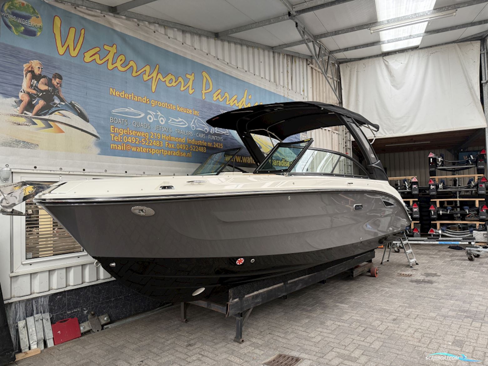 Sea Ray SDX 250 outboard Motorboat 2026, with Mercury engine, The Netherlands