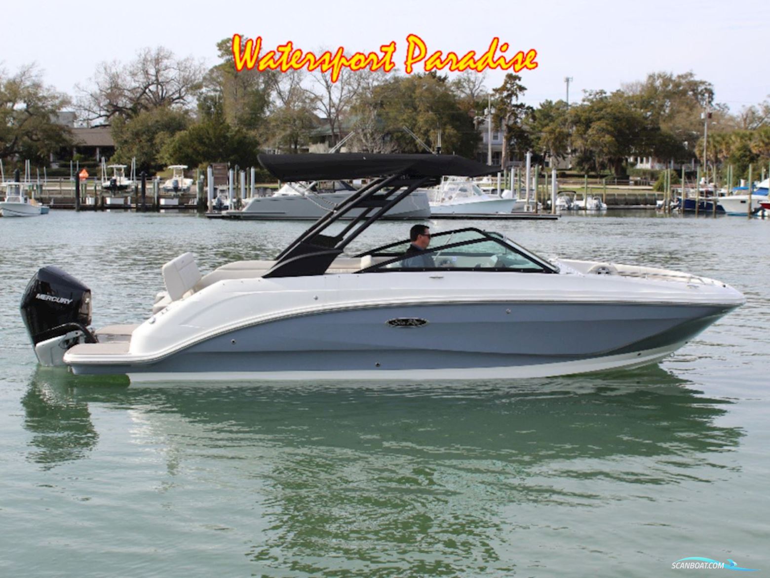 Sea Ray Sdx 250 Outboard Motorboat 2026, with Mercury engine, The Netherlands