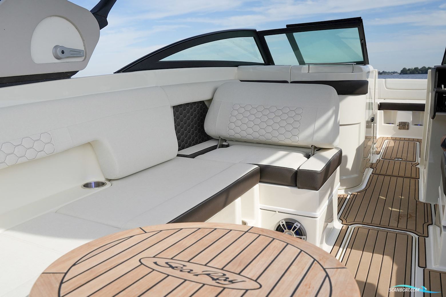 Sea Ray SDX 290 Outboard