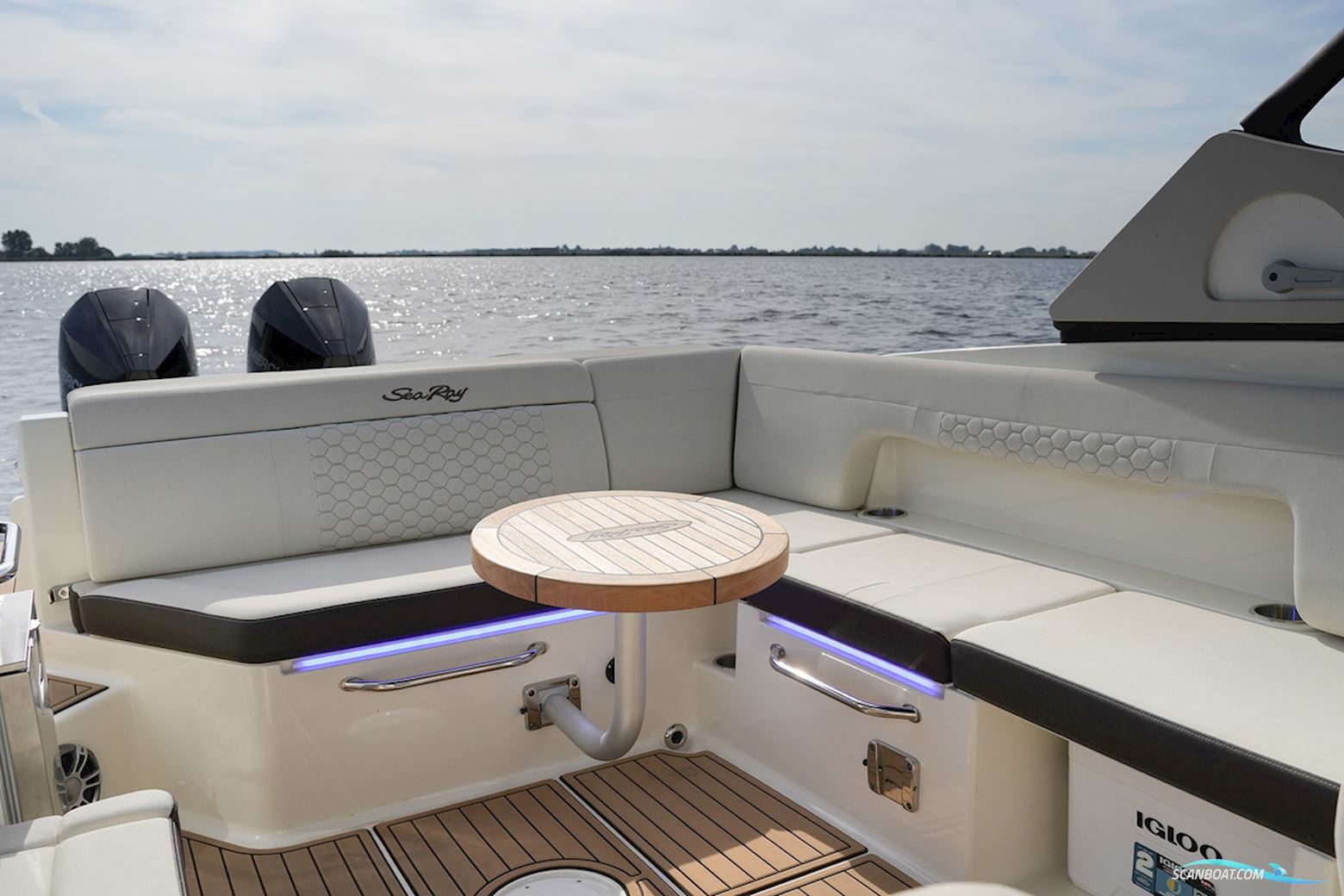 Sea Ray SDX 290 Outboard