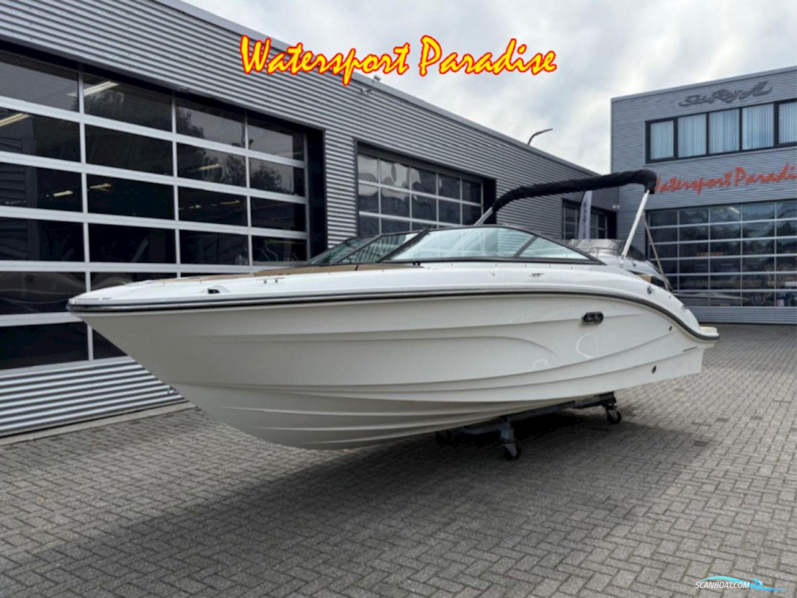 Sea Ray Spx 210 Motorboat 2026, with Mercruiser engine, The Netherlands
