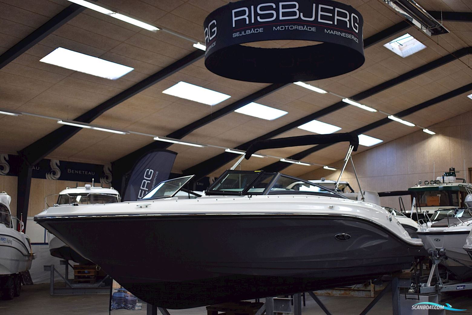 Sea Ray Spx 230 Outboard