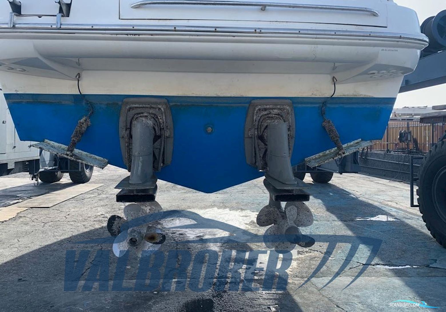 Sealine C 39
