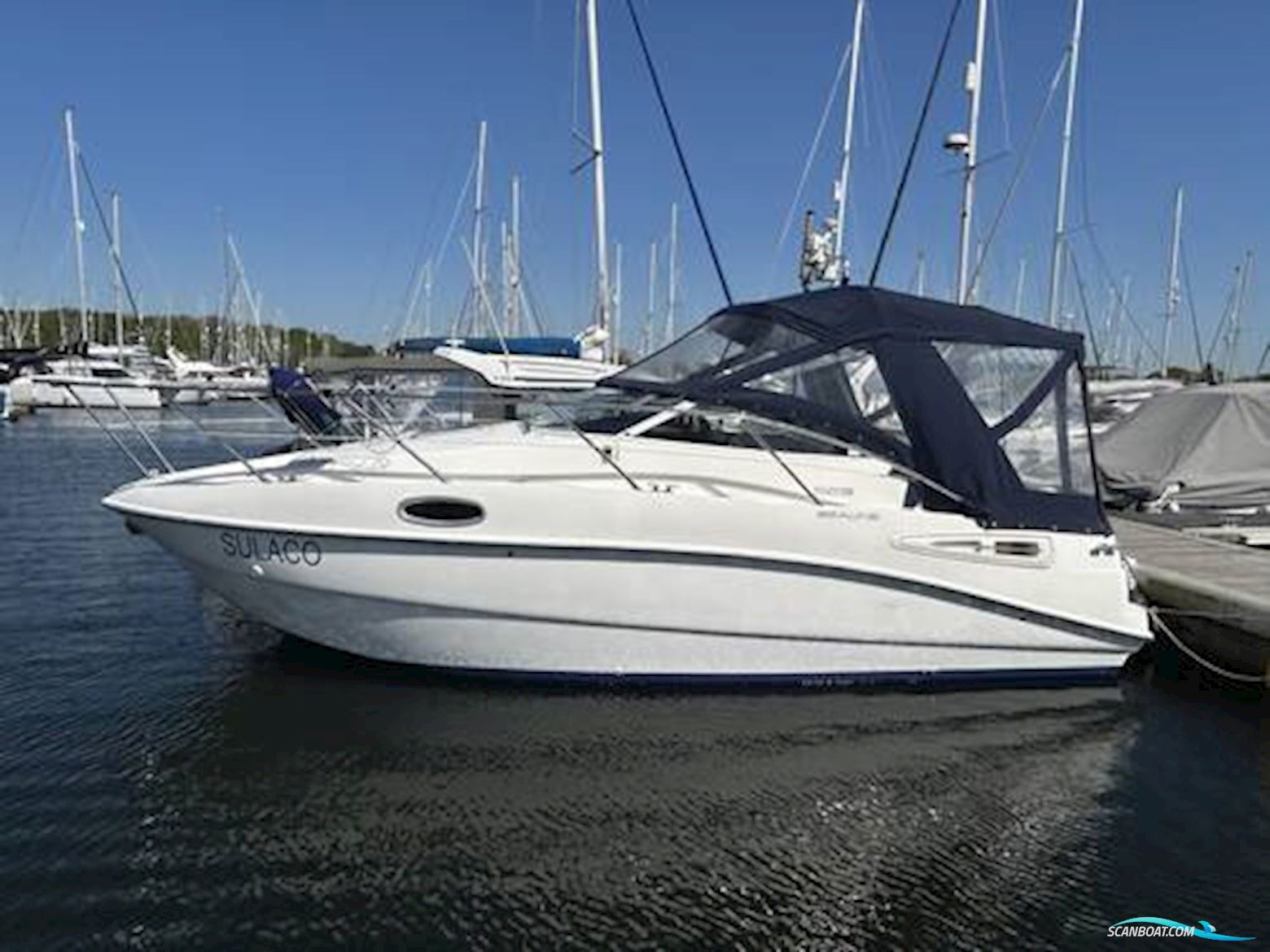 Sealine International S23