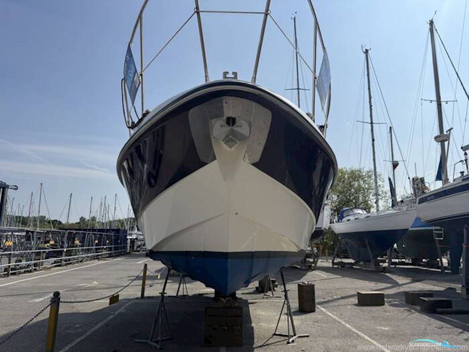Sealine International SC29