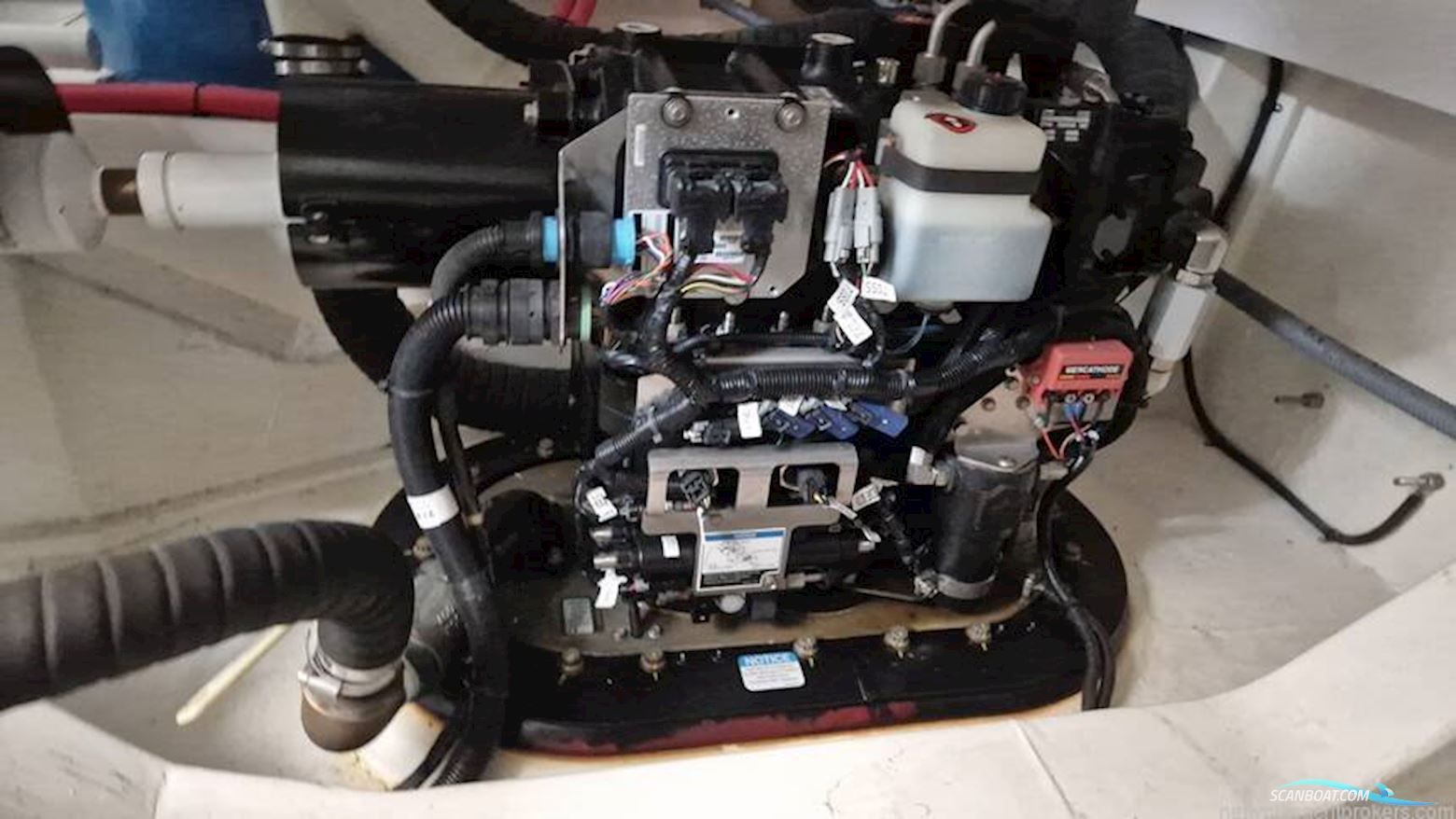 Sealine International SC47