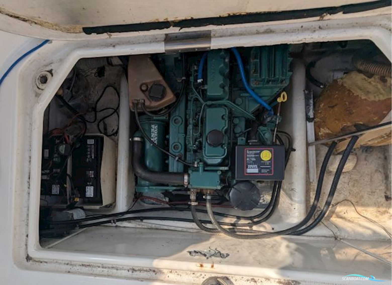 Sealine International Senator 230