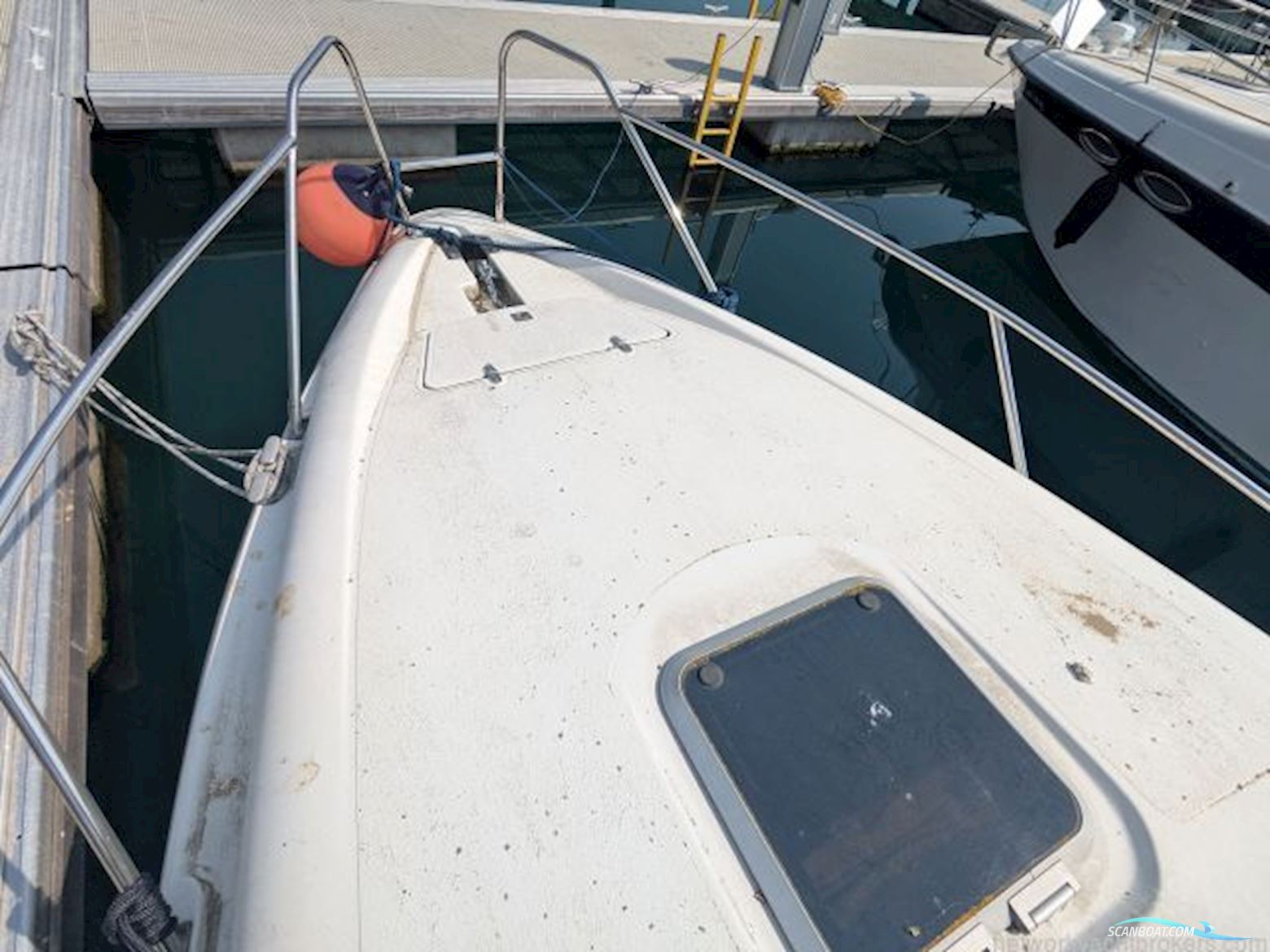 Sealine International Senator 230