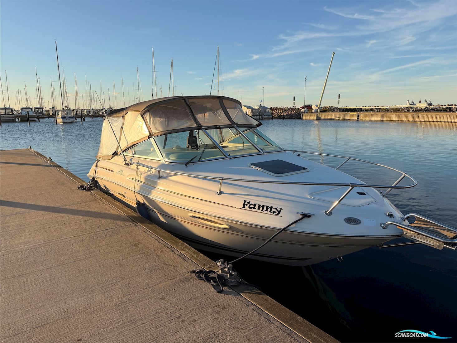 Searay 215 Express Cruiser