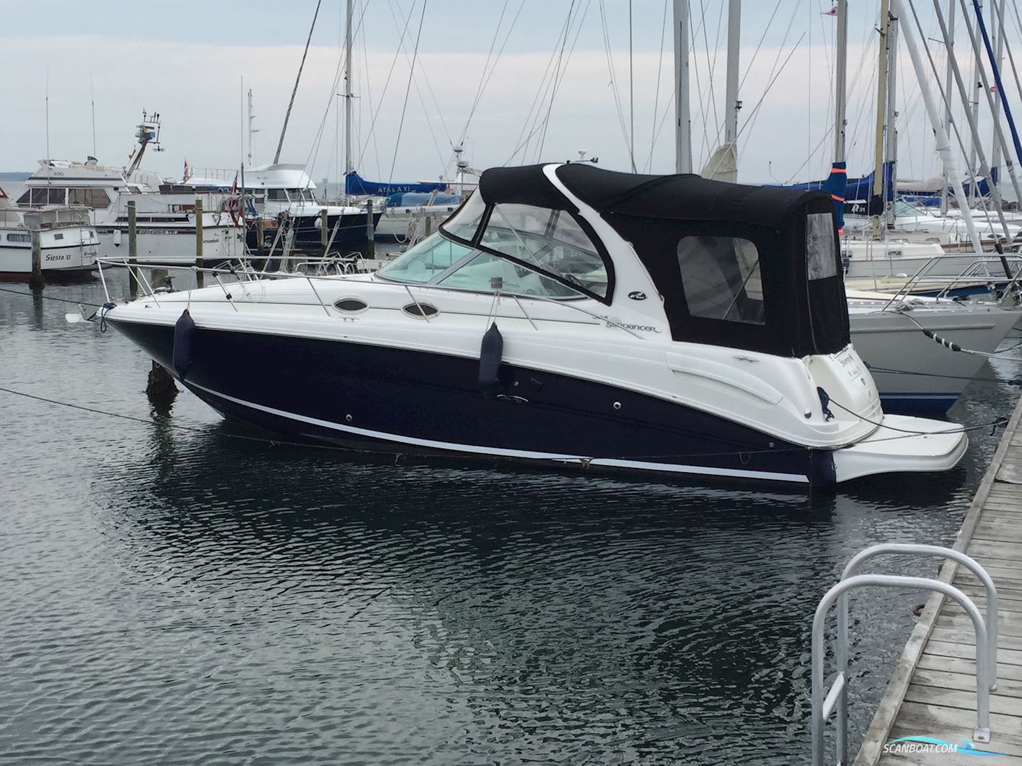 SeaRay 330