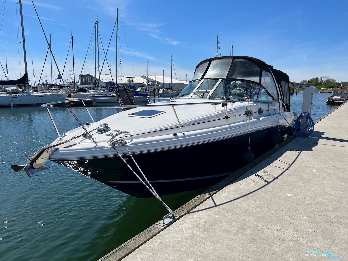 SeaRay 330