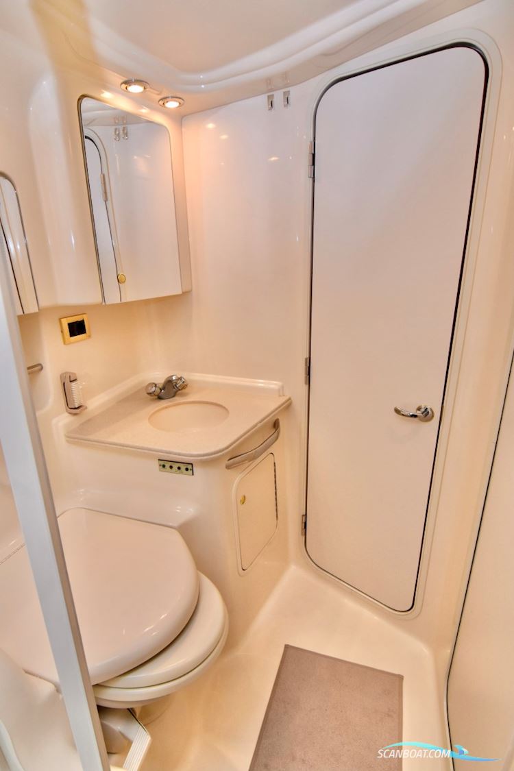 SeaRay 410 Sundancer