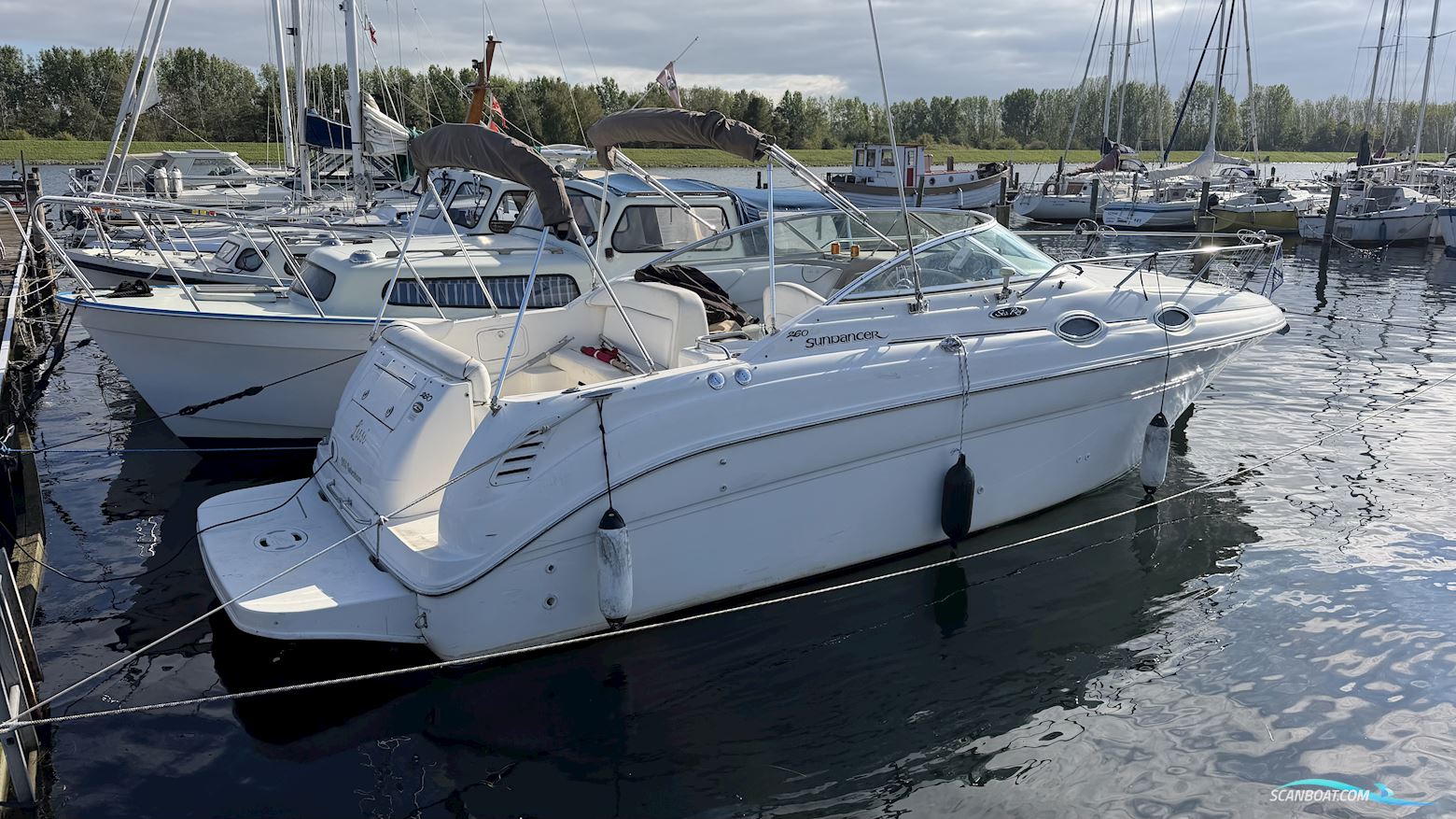 Searay Sundancer 260