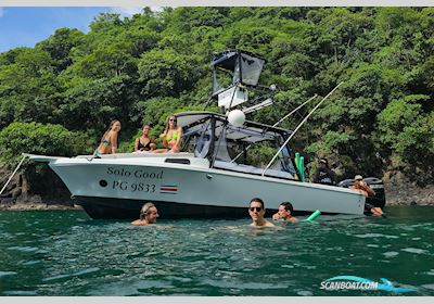 Spacecraft 29 Motorboat 2013, with SUZUKI engine, No country info