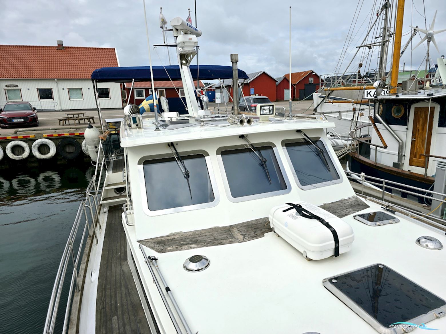 Spinosa 43