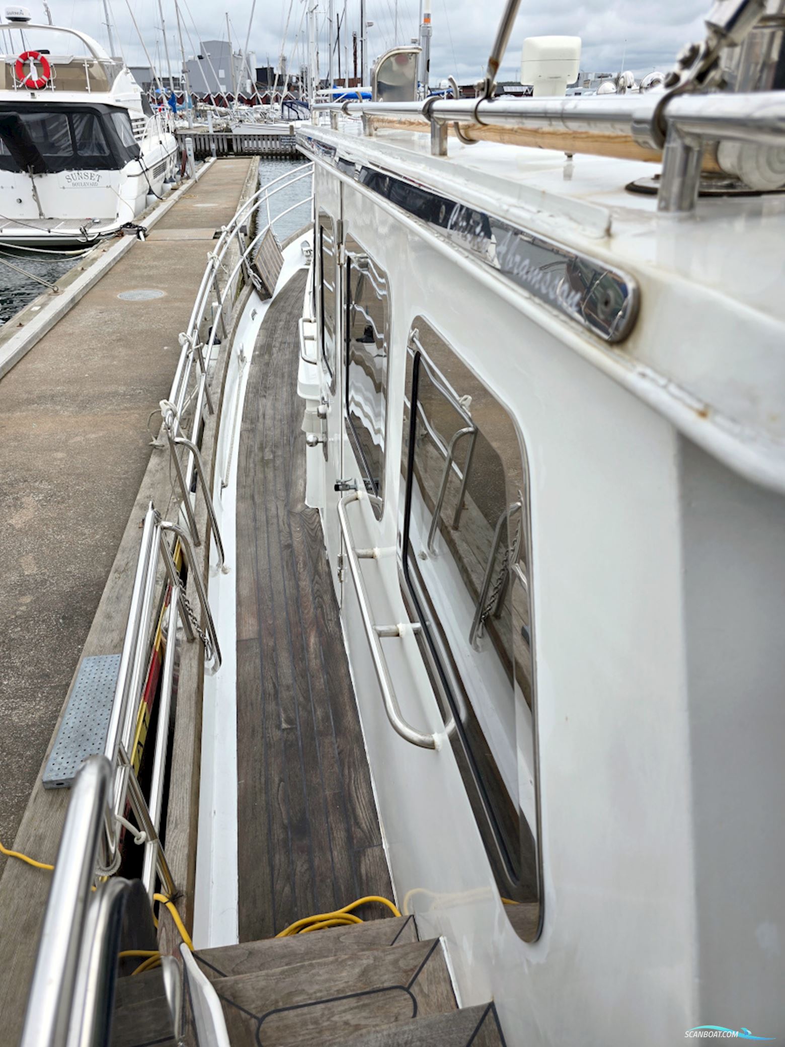 Spinosa 43