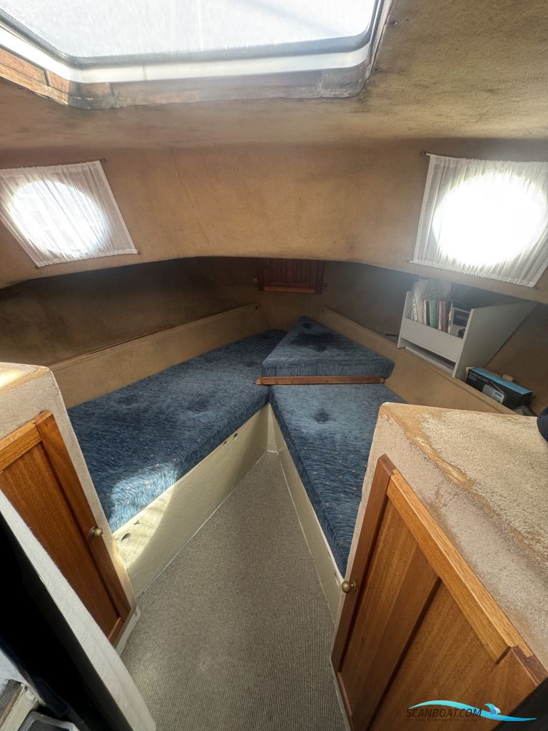 Starlett 34
