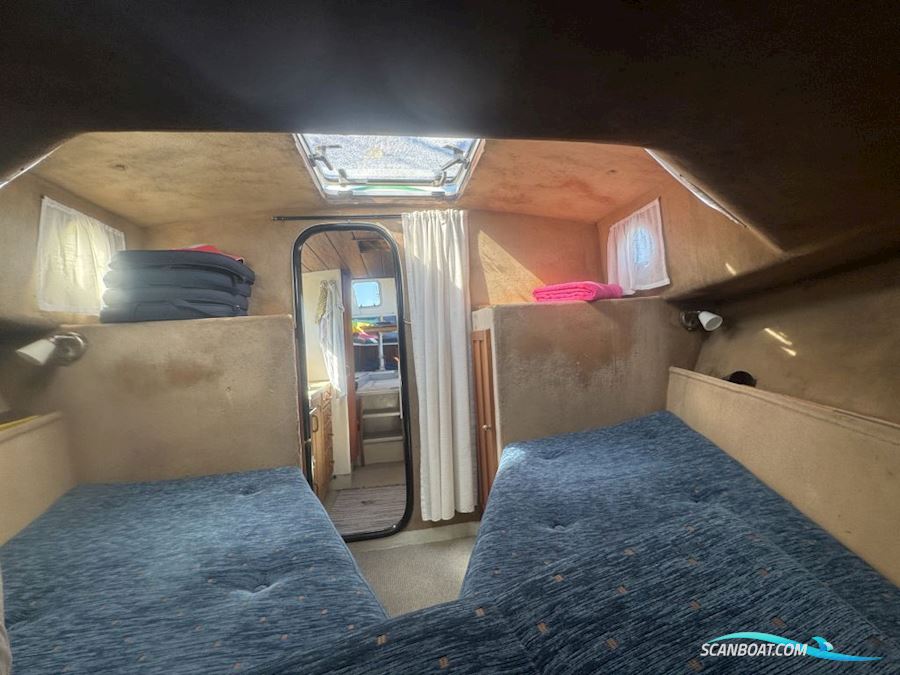 Starlett 34