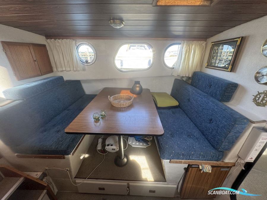 Starlett 34