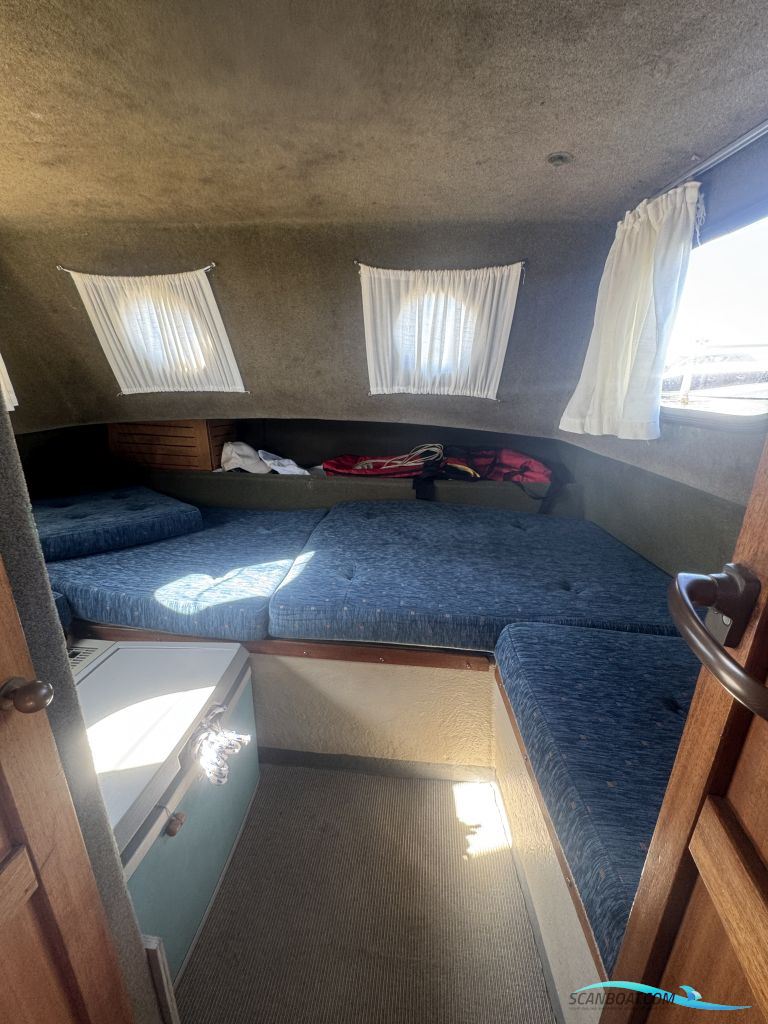 Starlett 34