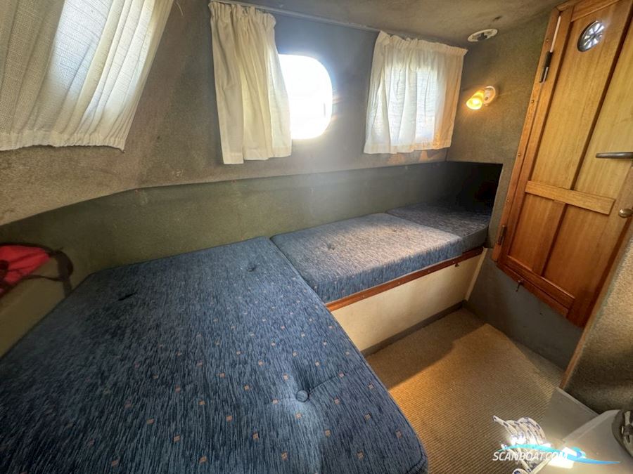 Starlett 34