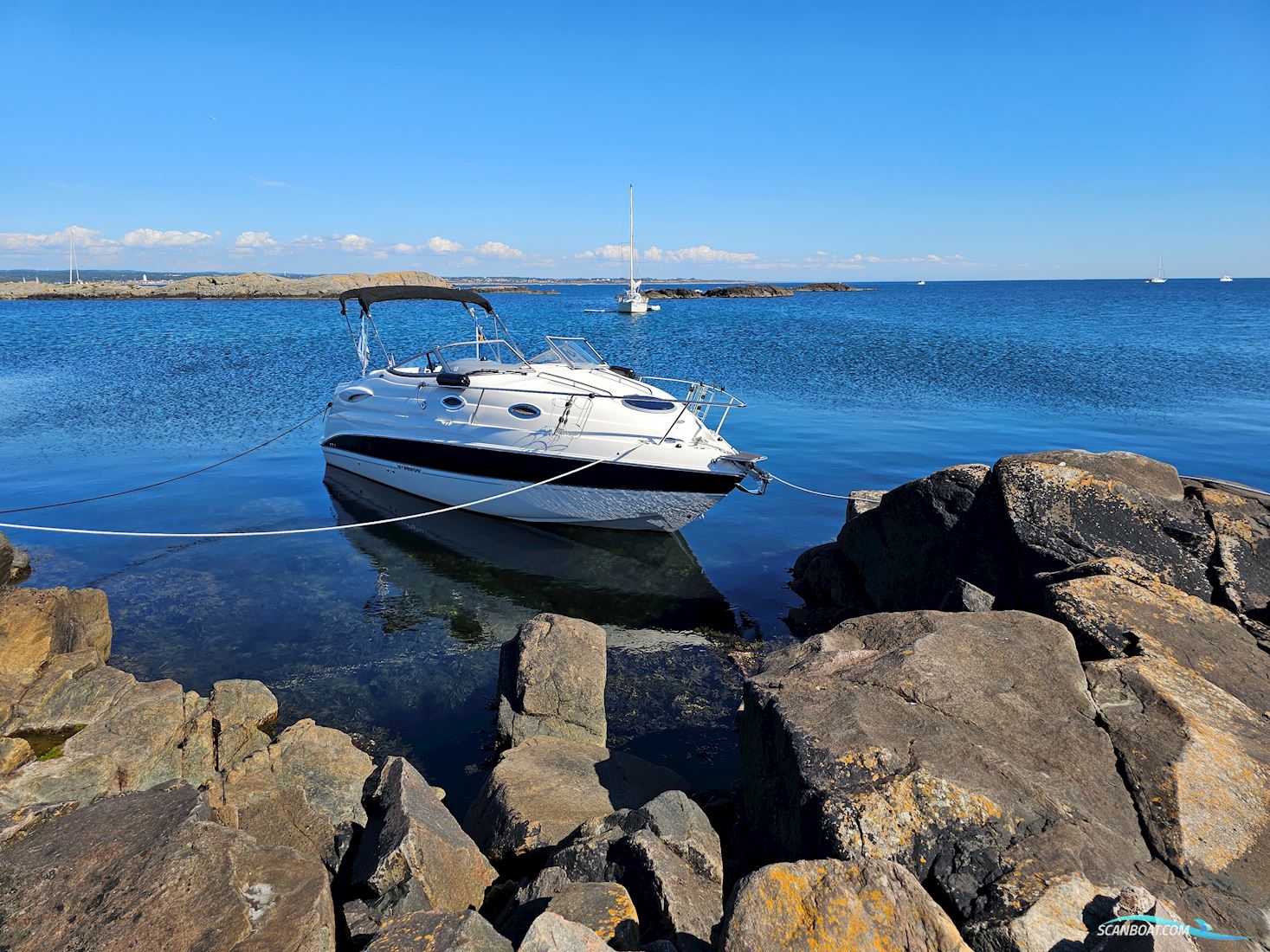 Stingray 250 CS (står klar på næsten ny trailer)