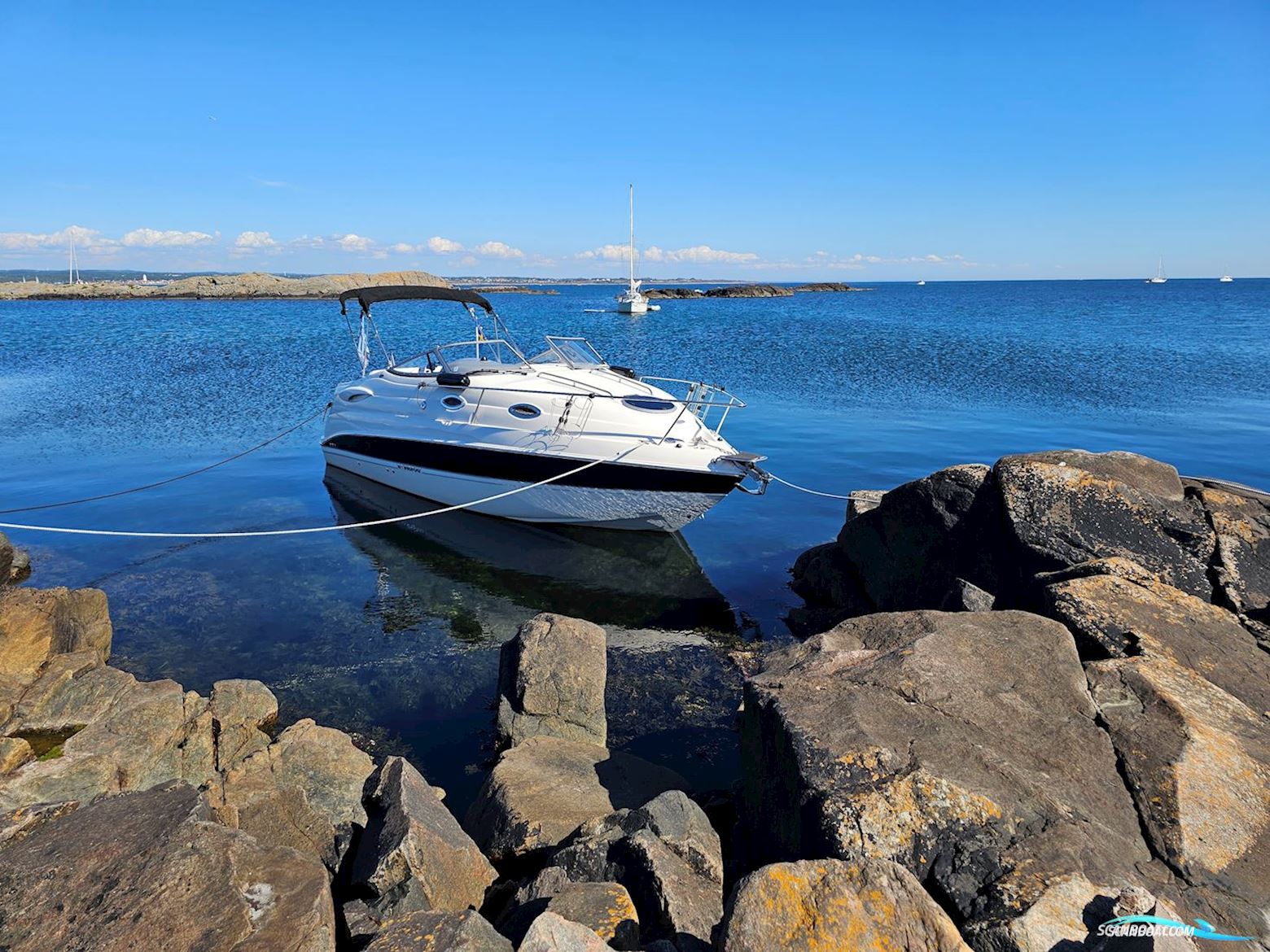 Stingray 250, Meget Velholdt