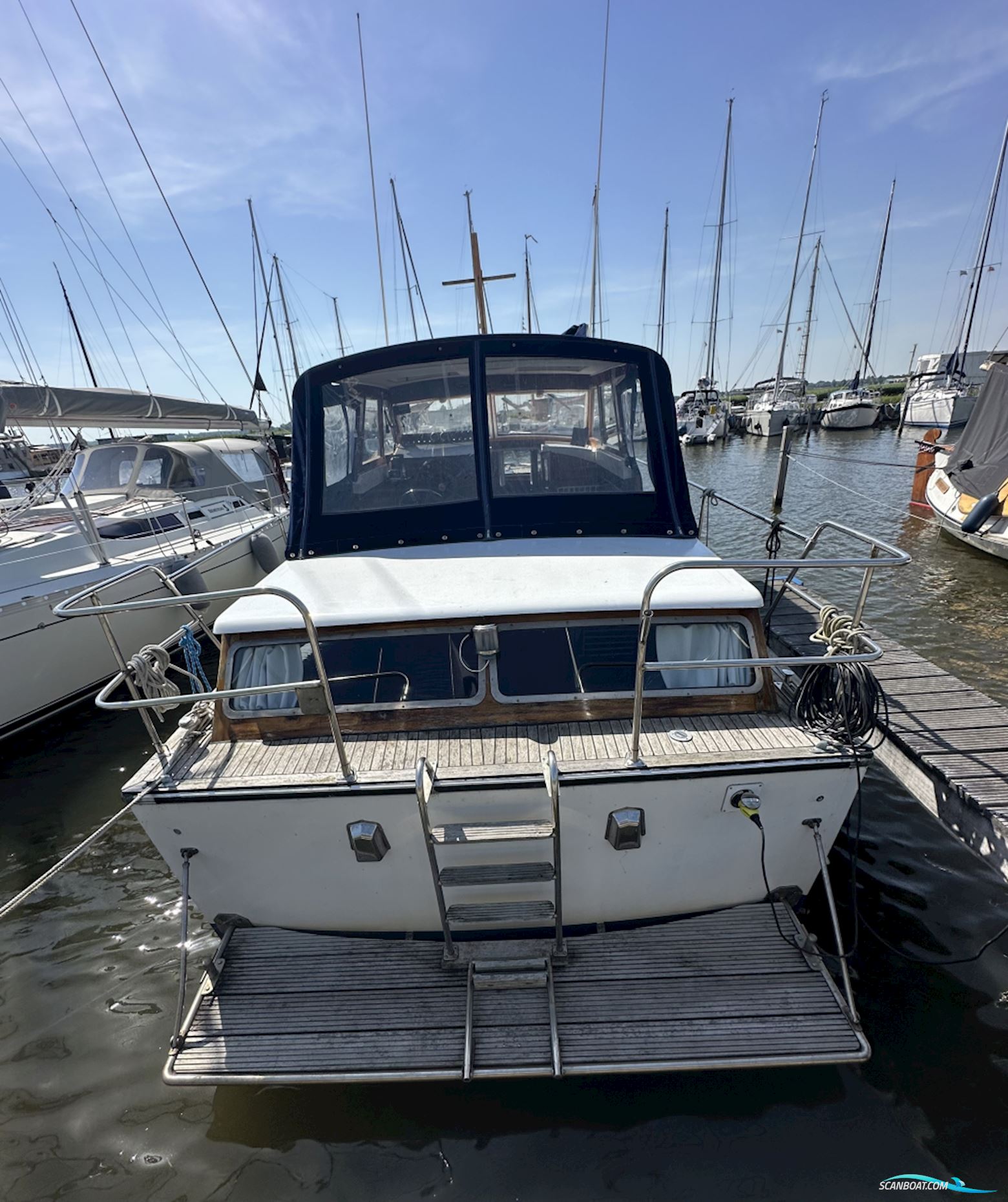 Storebro Adler 34