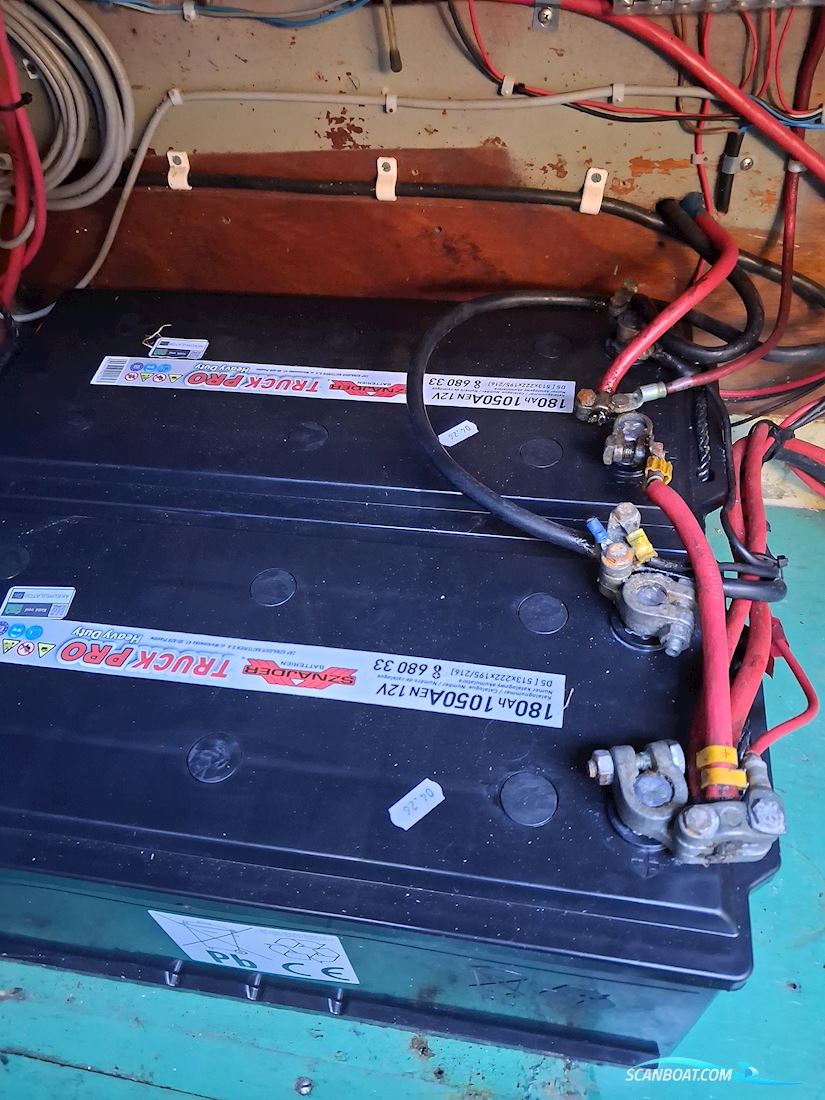 Storebro Royal Biscay 31