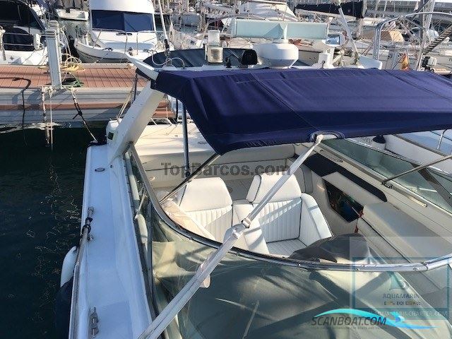 Sunseeker Tomahawk 37