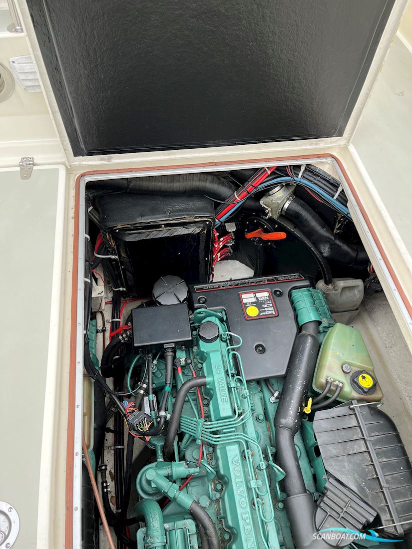 Targa 30