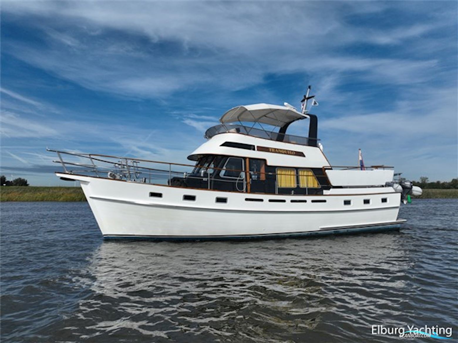 Tayana Trawler  - Pieter Beeldsnijder