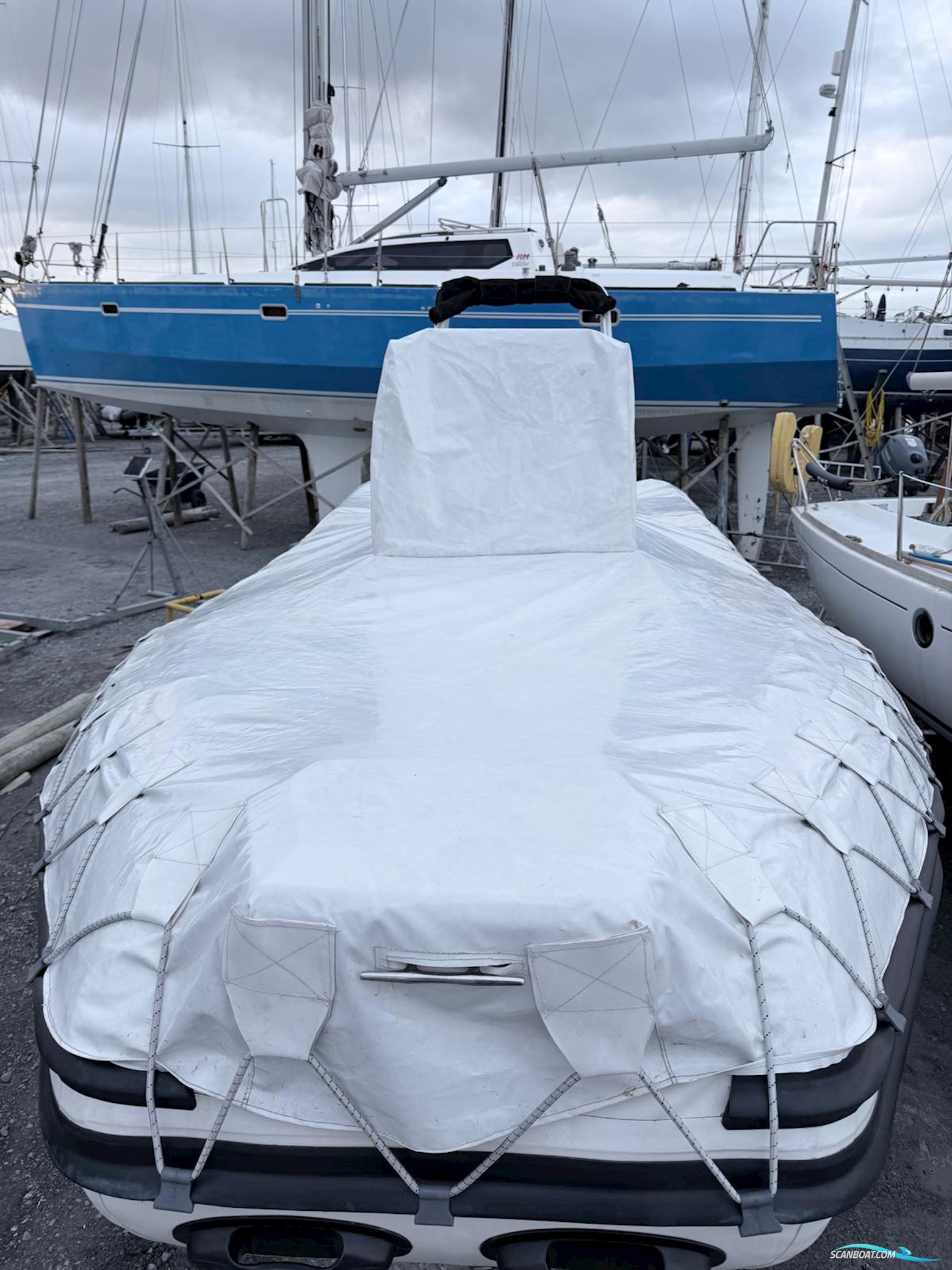 Tiger Marine Open 600