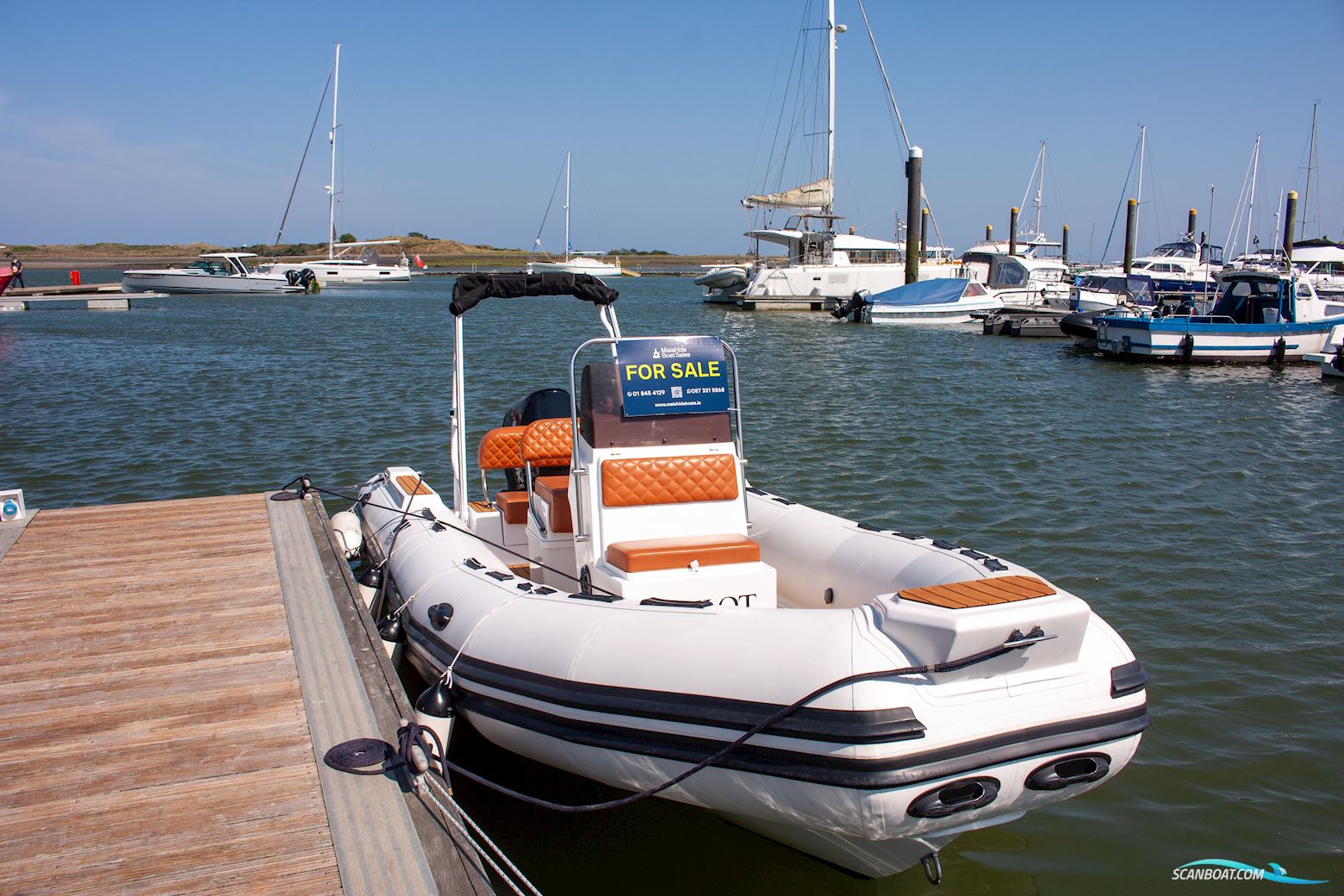 Tiger marine Open 600