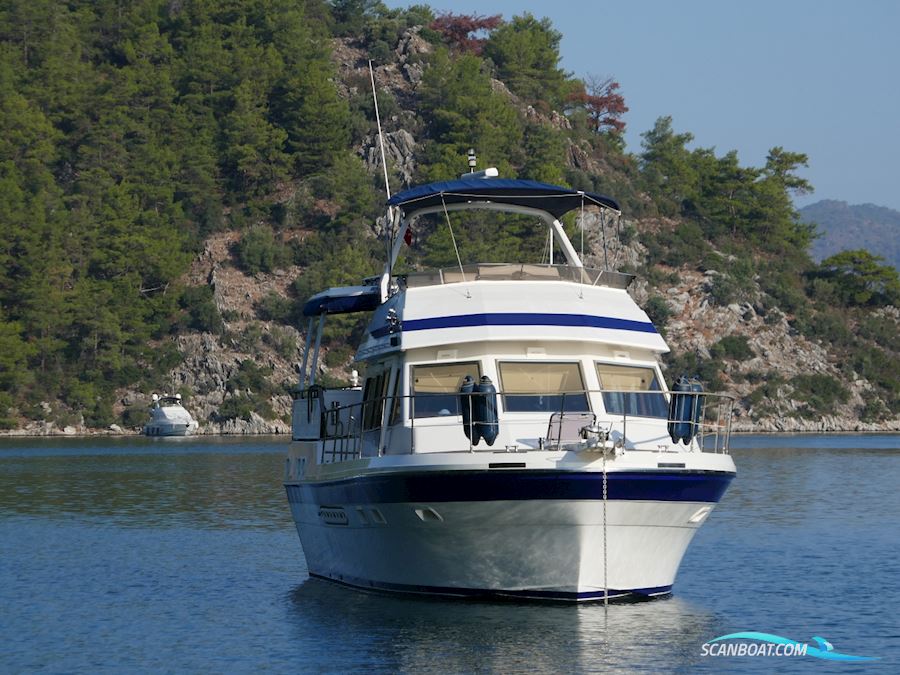 Trader 44 Sundeck
