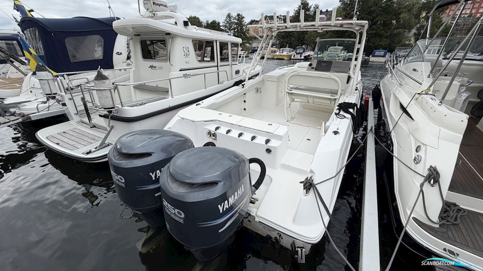 Wellcraft 302 SCARAB SPORT
