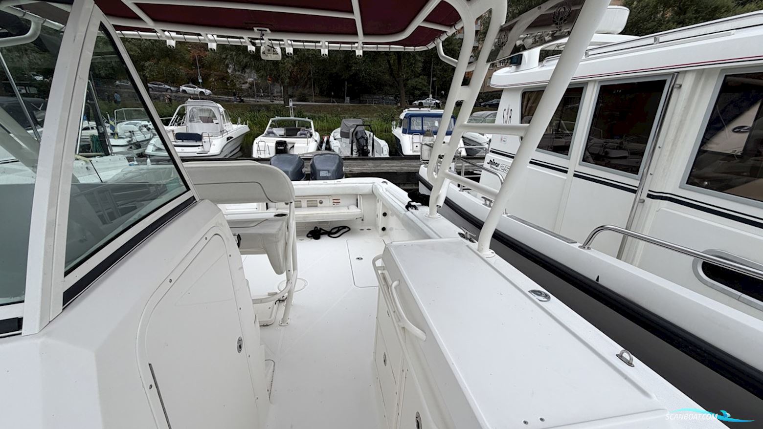 Wellcraft 302 SCARAB SPORT