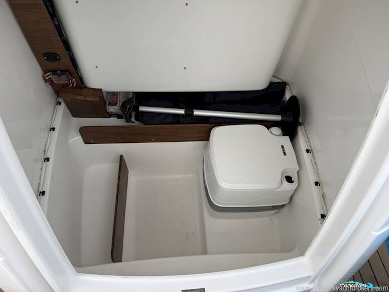 White Shark 226