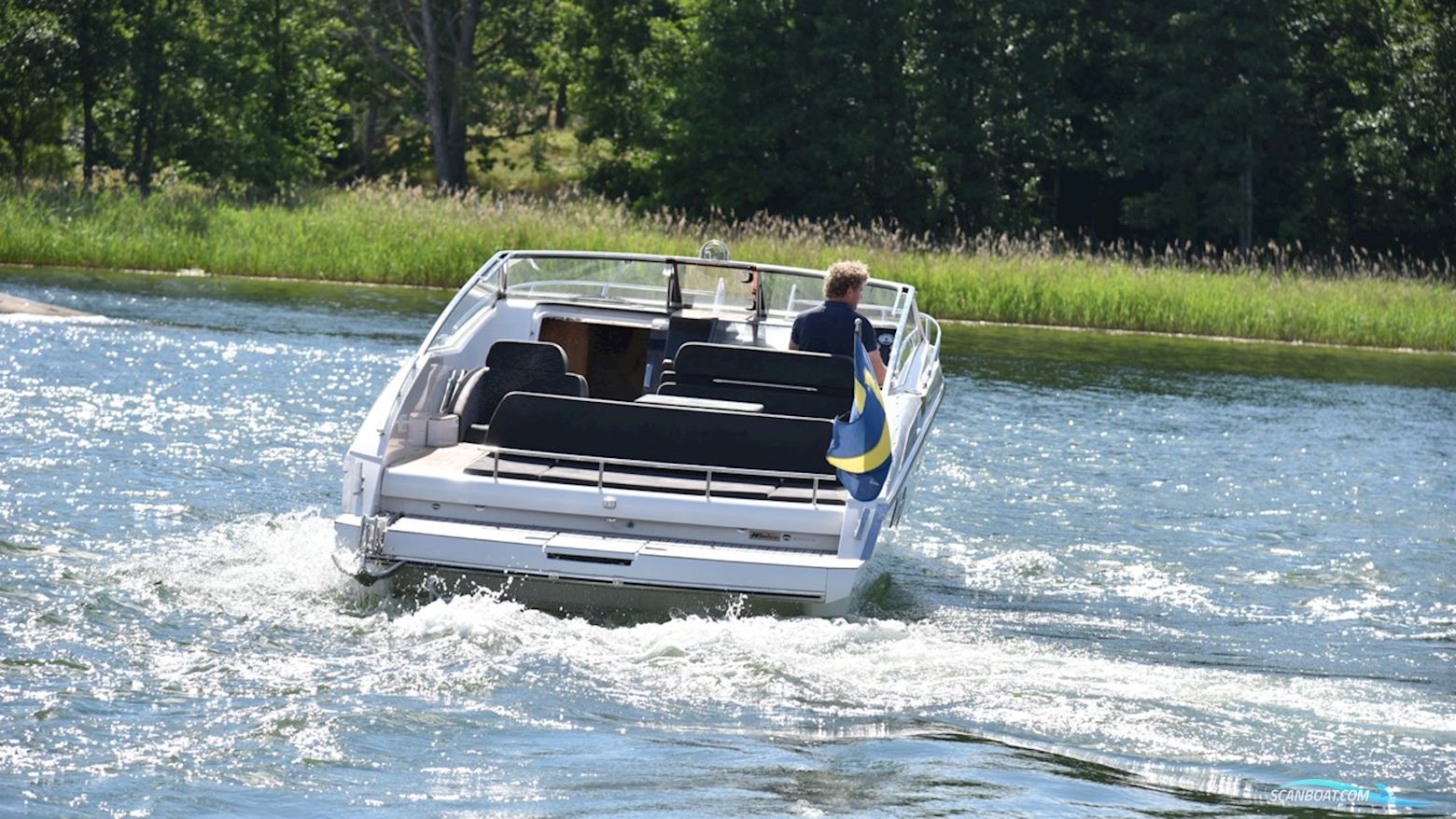 Windy 31 Zonda