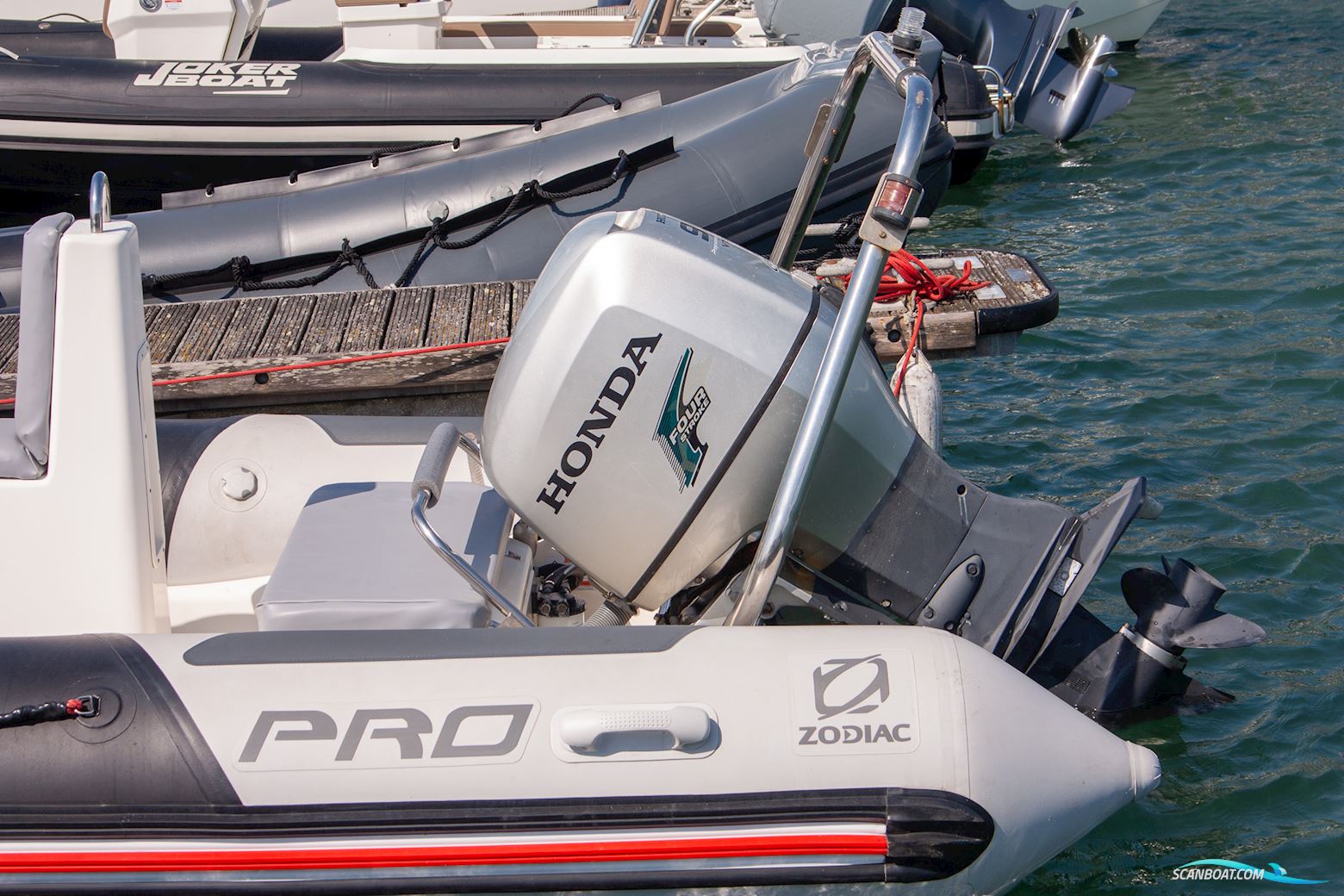 Zodiac Pro 12 Man