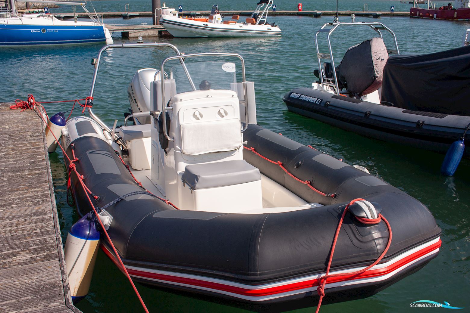 Zodiac Pro 12 Man