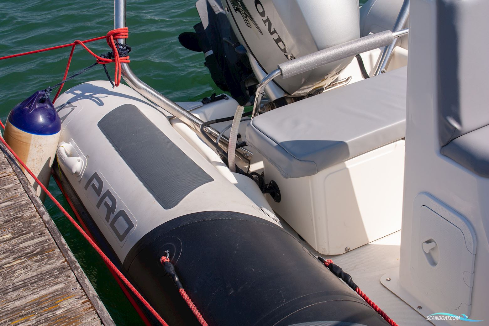 Zodiac Pro 12 Man