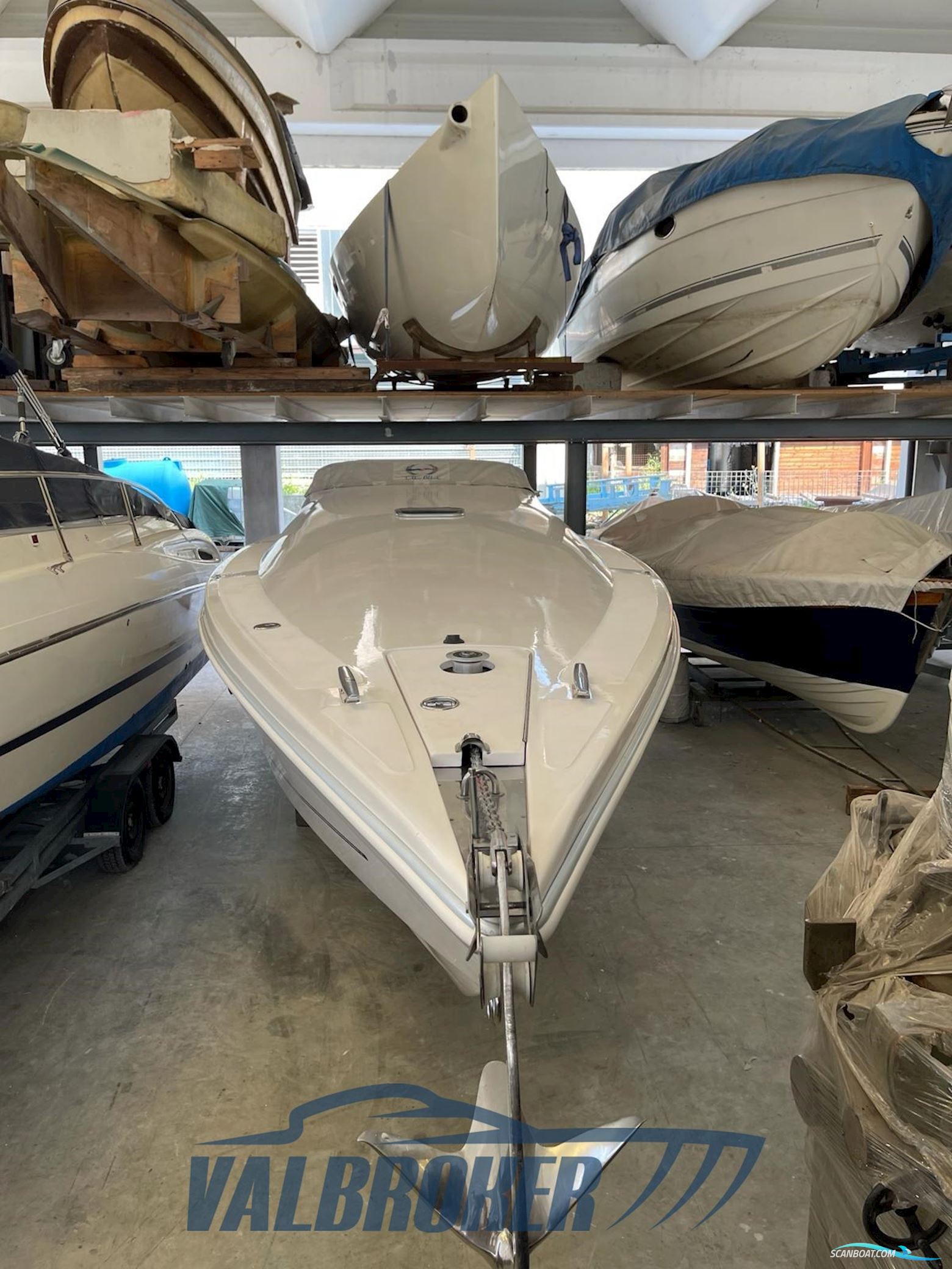 Abbate Tullio 41 Elite